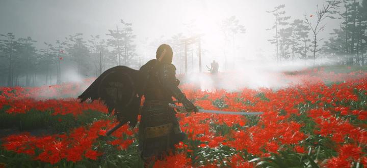 Immagine prodotto Sony Ghost of Tsushima - Directors Cut (PS5, DE)