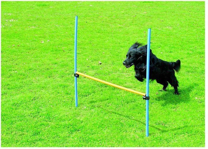 Actual product image Pawise Agility Hurdle 116cm height - (636.9002) (One size, Agility)