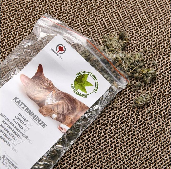 Actual product image CanadianCat Comet XL (8 cm, Dgrey)