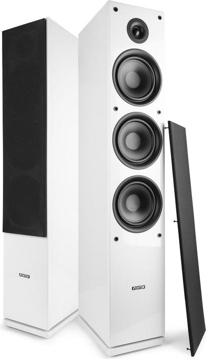 Actual product image Fenton SHF80W (1 pair, 250 W)