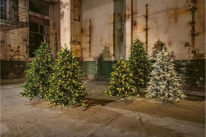 Actual product image STT Tree (180 cm)