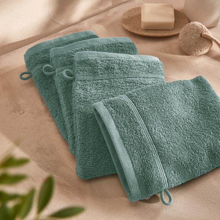 Actual product image La Redoute Interieurs Gants De Toilette (15x21 cm)