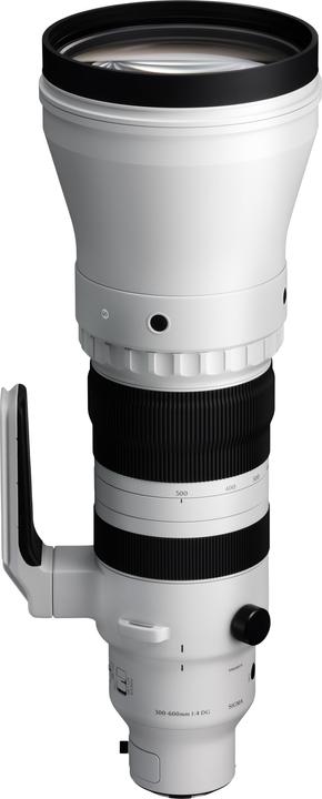 Sigma 300-600mm F4,0 DG OS | Sports (L-Mount) (L-Mount, Vollformat)