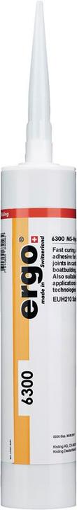 Produktbild Ergo 1-Komponenten Kleb- und Dichtstoff 6300