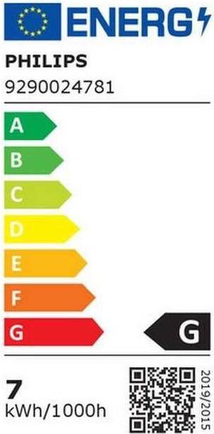 Etichetta energetica Philips Hue Philips E27 Confezione singola Globo gigante (E27, 7 W, 550 lm, 1 x, G)
