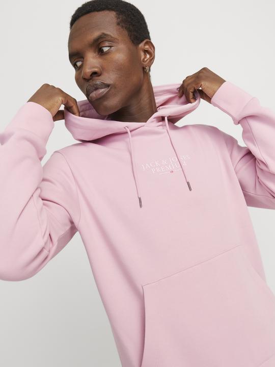 Immagine prodotto Jack & Jones Jprbluarchie Sweat Hood Noos (S)