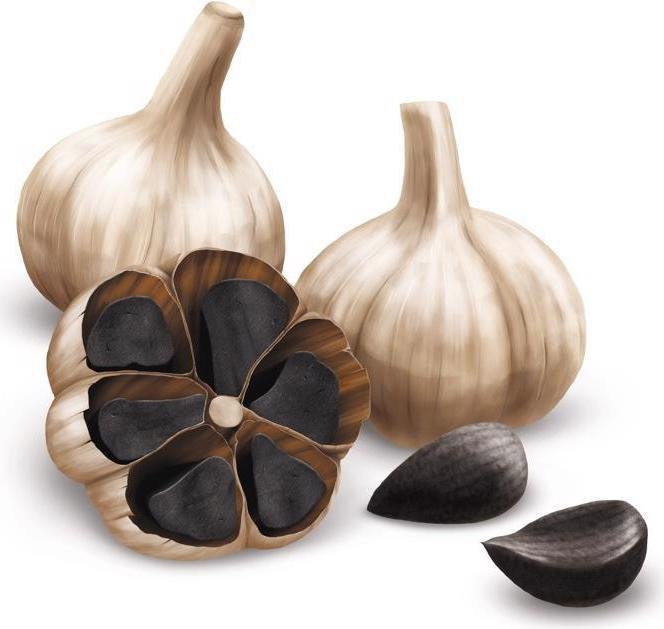 Actual product image Alpinamed Black garlic (120 Piece, Capsules, 103 g)