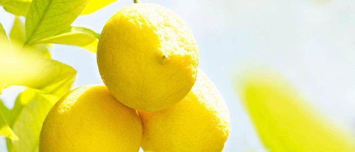 Actual product image Weleda Citrus (Spray, 100 ml)