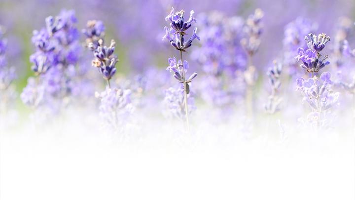 Actual product image Weleda Lavender relaxing bath (200 ml, Bath oil)