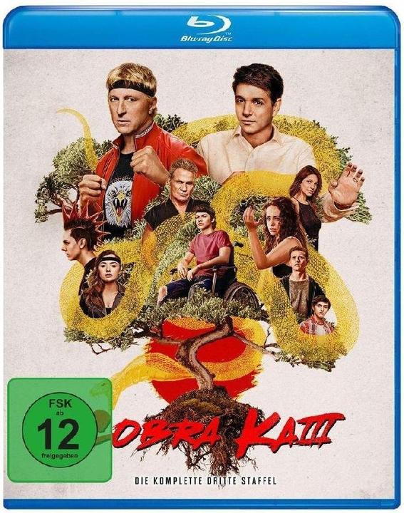 Immagine prodotto Cobra Kai - Stagione 3 - BR (Blu-ray, 2022, Tedesco, Inglese)