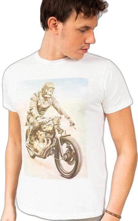 Immagine prodotto Deeluxe aglietta ringo (M)