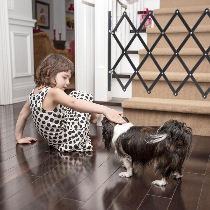 Immagine prodotto Relaxdays Barriera per cani (17 cm)