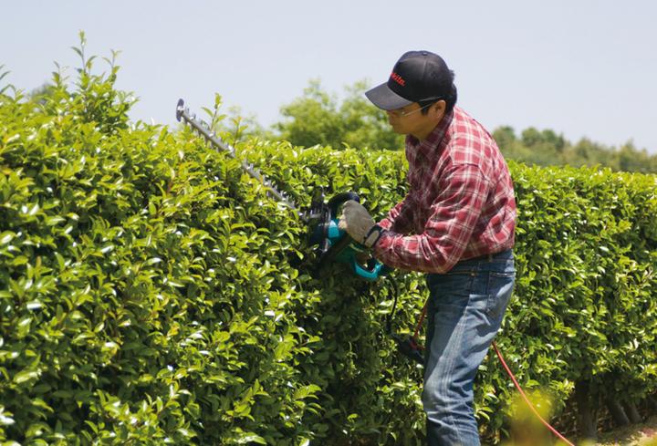 Actual product image Makita Uh7580 (Electric hedge trimmer)