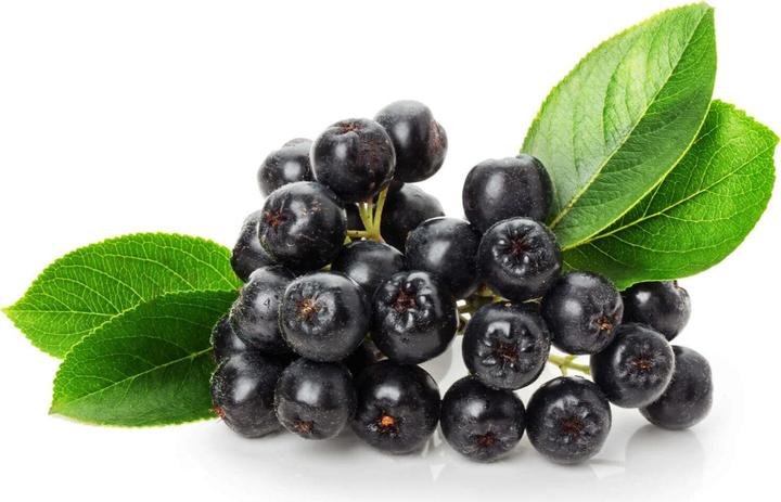 Produktbild Kingnature Aronia Vida (100 Stück, Kapseln, 60 g)