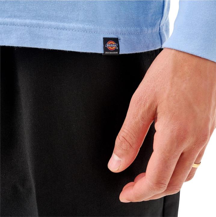 Actual product image Dickies Tom Knox Longsleeve (XL)
