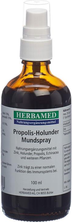 Actual product image Herbamed Propolis-Holunder (1 Piece, Spray, 198 g)