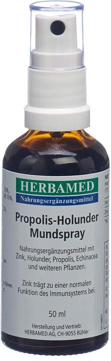 Actual product image Herbamed Propolis-Holunder Mundspray (1 Piece, Spray, 114 g)
