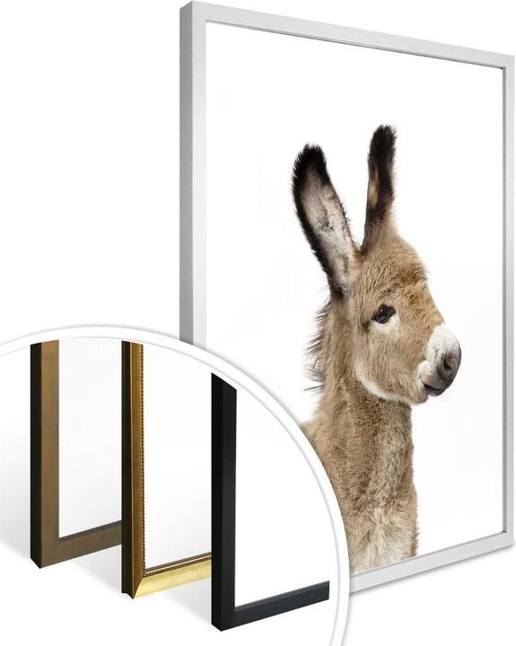 Immagine prodotto Trenddeko Sisi & Seb - Bambino asino (50 x 60 cm)