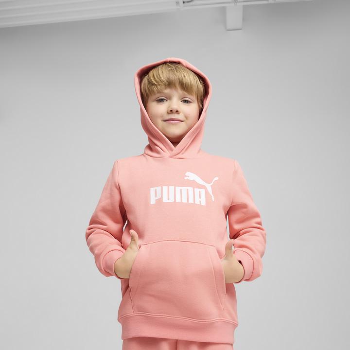 Image du produit Puma Sweat à capuche ESS No. 1 Logo FL PS (98)