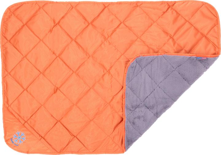 Immagine prodotto Thermo Switch Samos (Cane)