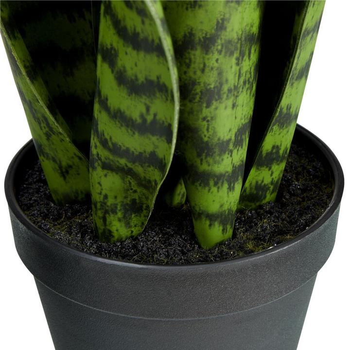 Image du produit micasa Chanvre arqué (53 cm)