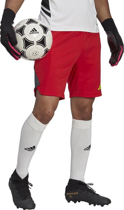 Actual product image adidas Tiro 23 Goalkeeper Shorts Men (S)