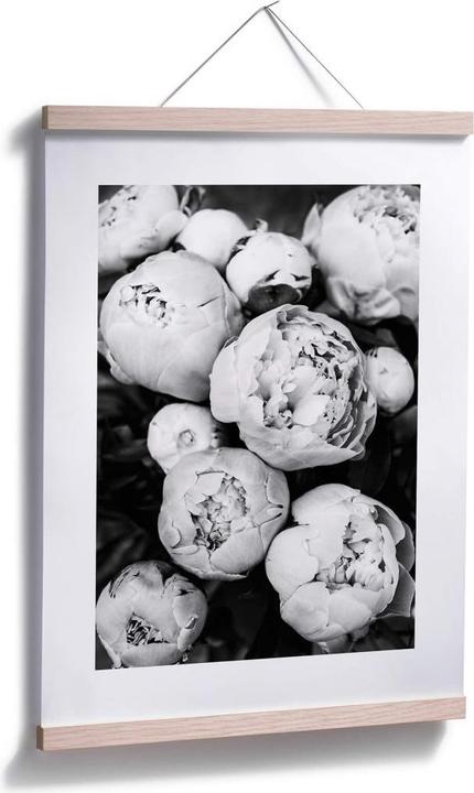 Produktbild Trenddeko Pfingstrosen (24 x 30 cm)