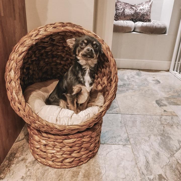 Actual product image PawHut Cat house made of rattan weave (Cat)