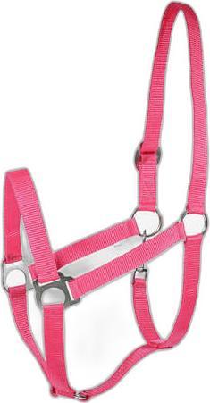 Horze Basic horse halter