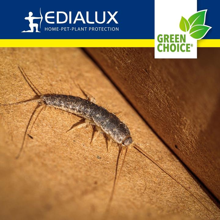 Productafbeelding Edialux Green Choice - Zilvervisjesval, 2 stuks