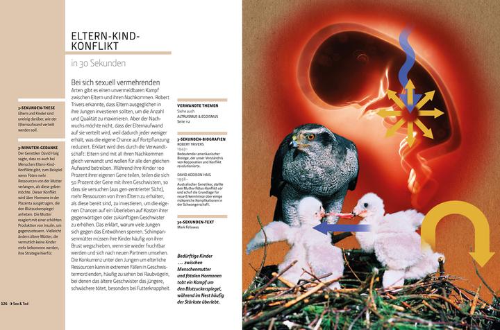 Produktbild Librero Die Evolution in 30 Sekunden (Deutsch)