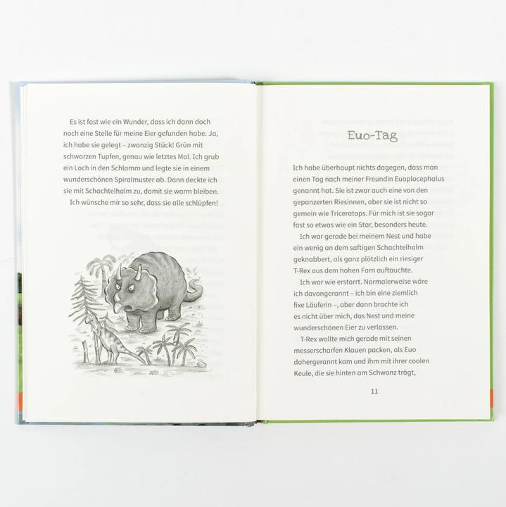 Produktbild Der kleinste Dinosaurier (Deutsch, Julia Donaldson, Axel Scheffler, Susanne Härtel, 2022)