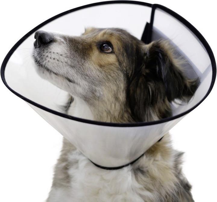 Actual product image Kerbl Dog neck brace (Dog)