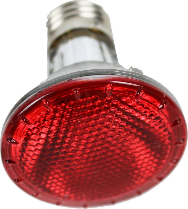 Produktbild Reptiles-Planet infrarotlampe für terrarien plus halogen