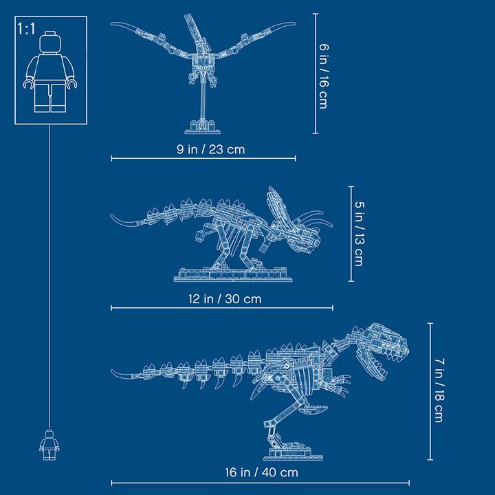 Image du produit LEGO Fossiles de dinosaures (21320, LEGO Ideas)