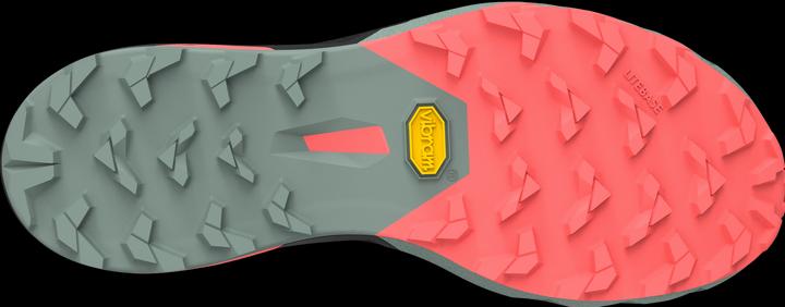 Produktbild Dynafit Alpine Pro 2 Laufschuh (37)