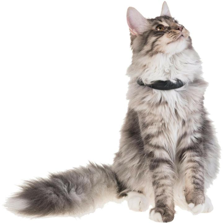 Actual product image PetTracer Cat GPS tracking device (Cat, General)