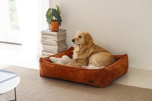 Produktbild Designed by Lotte Ribbed (Hund)