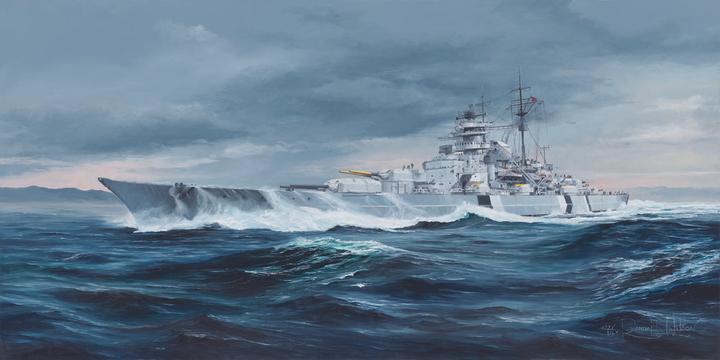 Actual product image Trumpeter German Bismarck Battleship