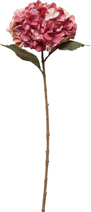 micasa Fleur 1 (65 cm)