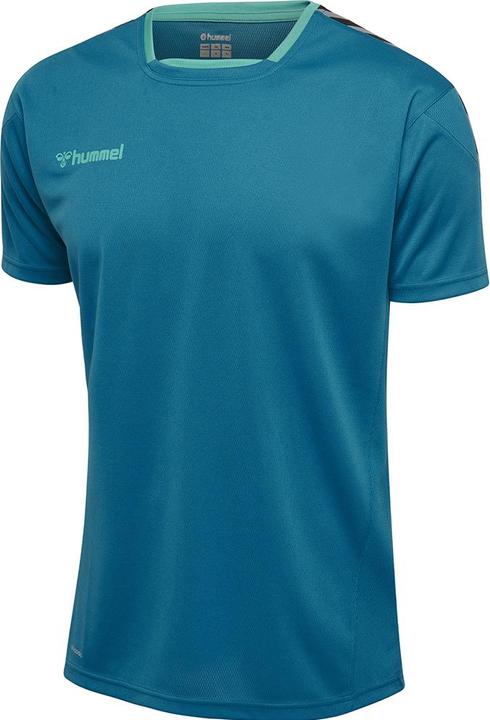 Image du produit hummel Authentic Kids Poly Jersey S/S (164)