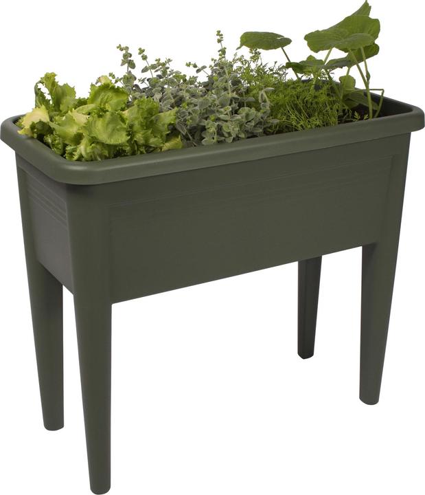 Produktbild Elho Green Basics XXL