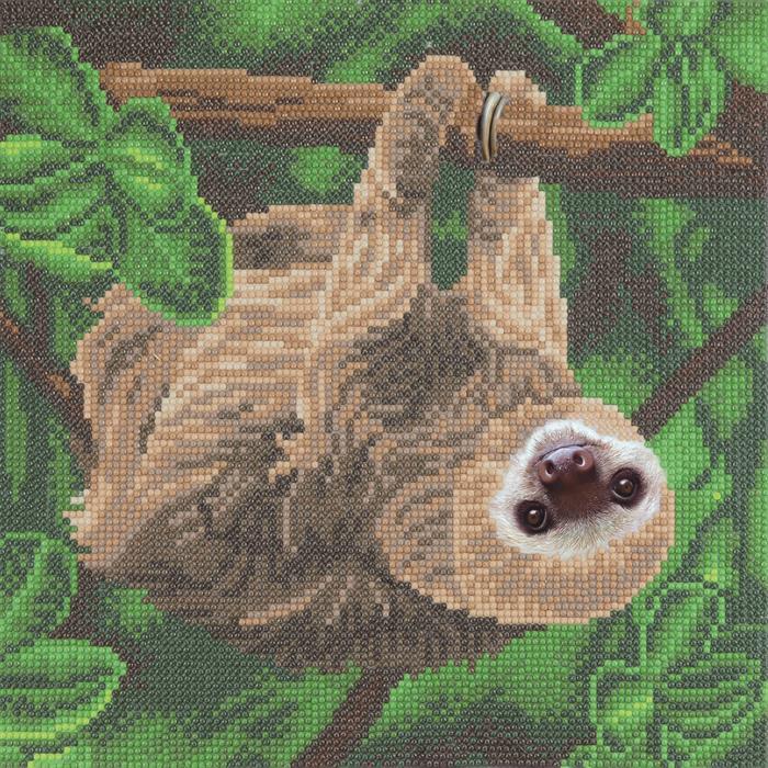 Image du produit Craft Buddy Paresseux bicéphale, 30x30cm Crystal Art Kit