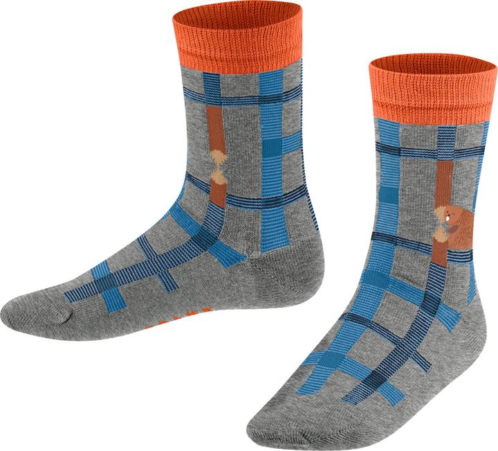 Actual product image Falke Beaver Check Kids Socks (19 - 22)