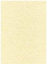 Image du produit Agipa Papier texturé, A4, 165 g/qm, parchemin champagne (165 g/m², 50 x, A4)