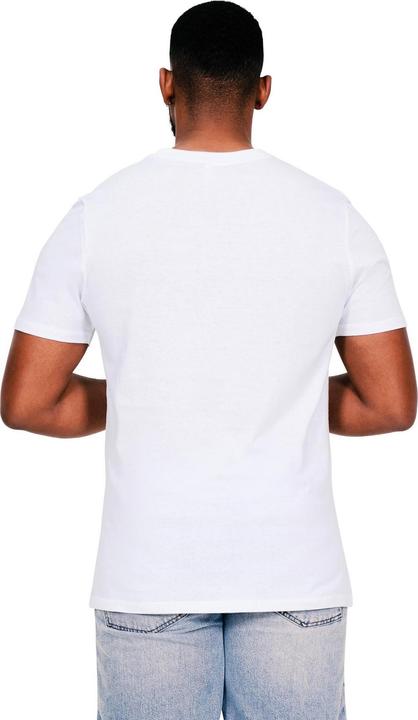Image du produit Universal Textiles - T-shirt - Homme (XL)