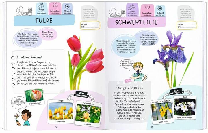 Actual product image Expedition Natur Rätseln, Stickern, Bestimmen - Blumen (German, Mary Gribouille, Sandra, Lebrun, 2024)