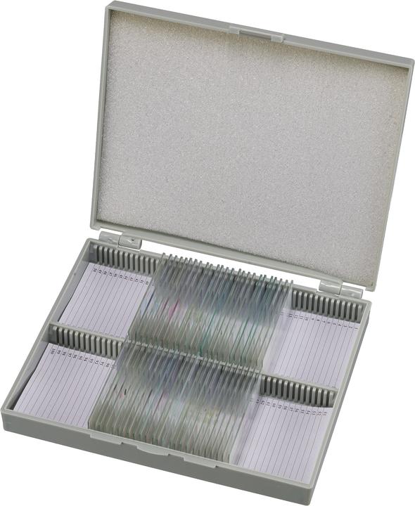 Actual product image Bresser Permanent preparations: Histology