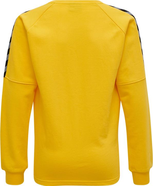 Actual product image hummel Authentic Kids Training Sweat (152)