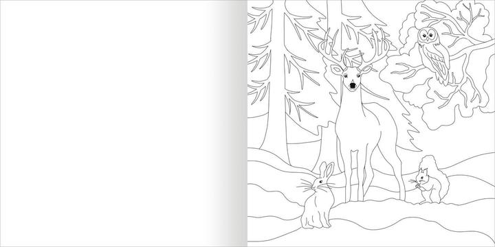 Actual product image Watercolour painting pad - In the forest